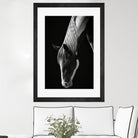 Quiet Strength by Frank Ma on GIANT ART - horse photography horse