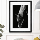 Quiet Strength by Frank Ma on GIANT ART - horse photography horse