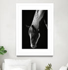 Quiet Strength by Frank Ma on GIANT ART - horse photography horse