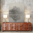 Swan lake by By PEJ on GIANT ART -  botanical 