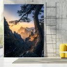 Forests towering over endless mountains by Yuan Cui on GIANT ART -  photography 