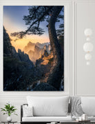 Forests towering over endless mountains by Yuan Cui on GIANT ART -  photography 