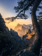Forests towering over endless mountains by Yuan Cui on GIANT ART -  photography 