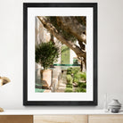 Le Jardin Secret by Henrike Schenk on GIANT ART - marrakech botanical marrakech