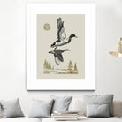 Lake Meditation l by Victoria Barnes on GIANT ART - animals nature birds