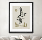 Lake Meditation l by Victoria Barnes on GIANT ART - animals nature birds