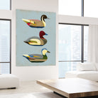 Decoy Ducks I by June Erica Vess on GIANT ART - animals nature birds