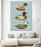 Decoy Ducks I by June Erica Vess on GIANT ART - animals nature birds