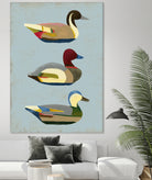 Decoy Ducks I by June Erica Vess on GIANT ART - animals nature birds
