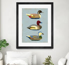 Decoy Ducks I by June Erica Vess on GIANT ART - animals nature birds