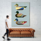 Decoy Ducks II by June Erica Vess on GIANT ART - animals nature birds