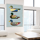 Decoy Ducks II by June Erica Vess on GIANT ART - animals nature birds