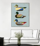 Decoy Ducks II by June Erica Vess on GIANT ART - animals nature birds