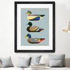 Decoy Ducks II by June Erica Vess on GIANT ART - animals nature birds