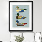 Decoy Ducks II by June Erica Vess on GIANT ART - animals nature birds