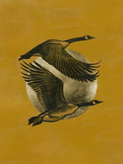 Copilots I by Grace Popp on GIANT ART - animals nature birds