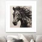 Western Plains Portrait II by Walker Noble on GIANT ART - animals nature horses