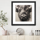 Western Plains Portrait I by Walker Noble on GIANT ART - animals nature horses