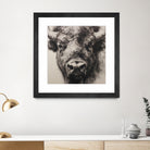 Western Plains Portrait I by Walker Noble on GIANT ART - animals nature horses