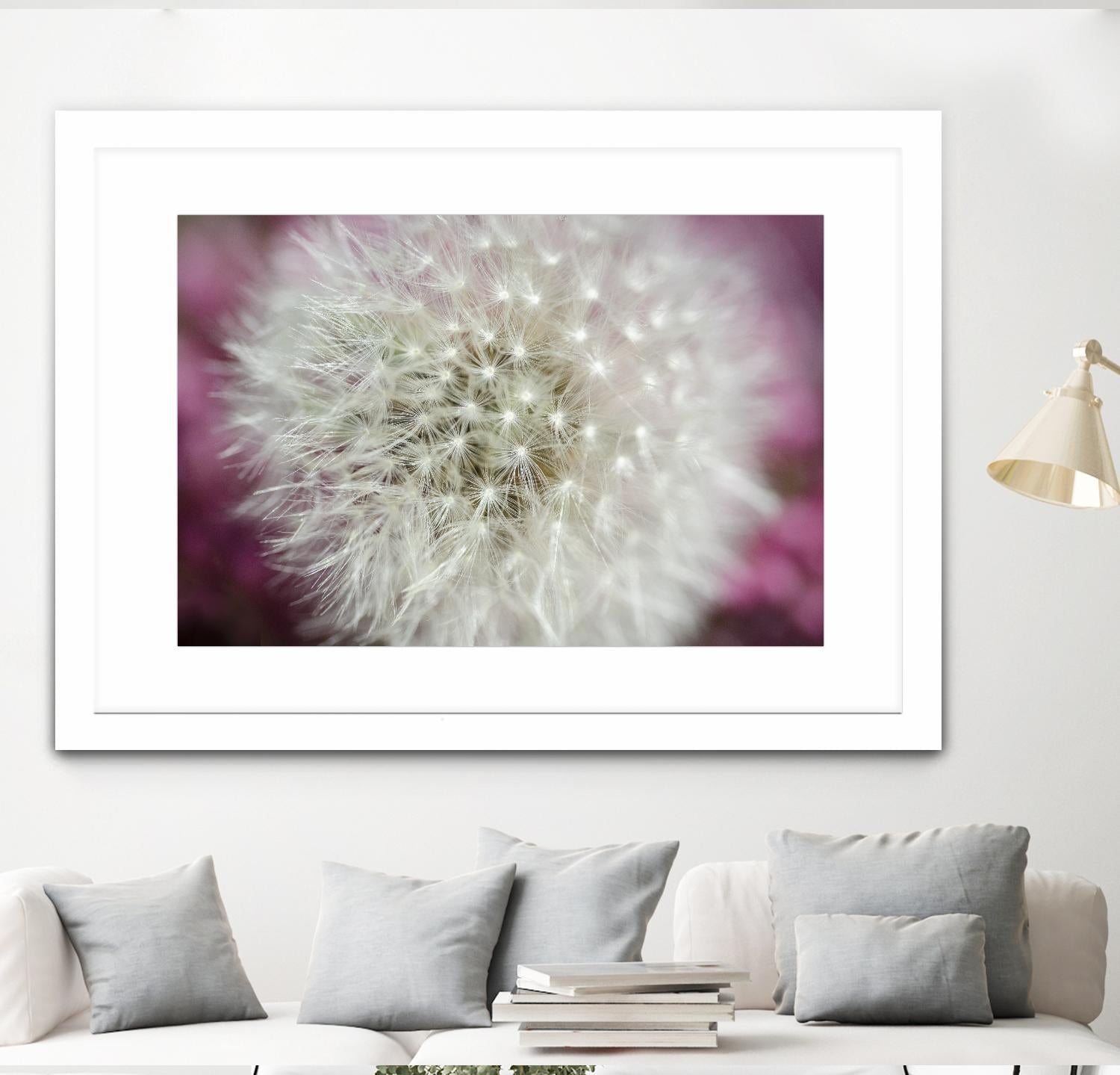 Dandelion on a rose by Nick Jackson on GIANT ART - pink photo art