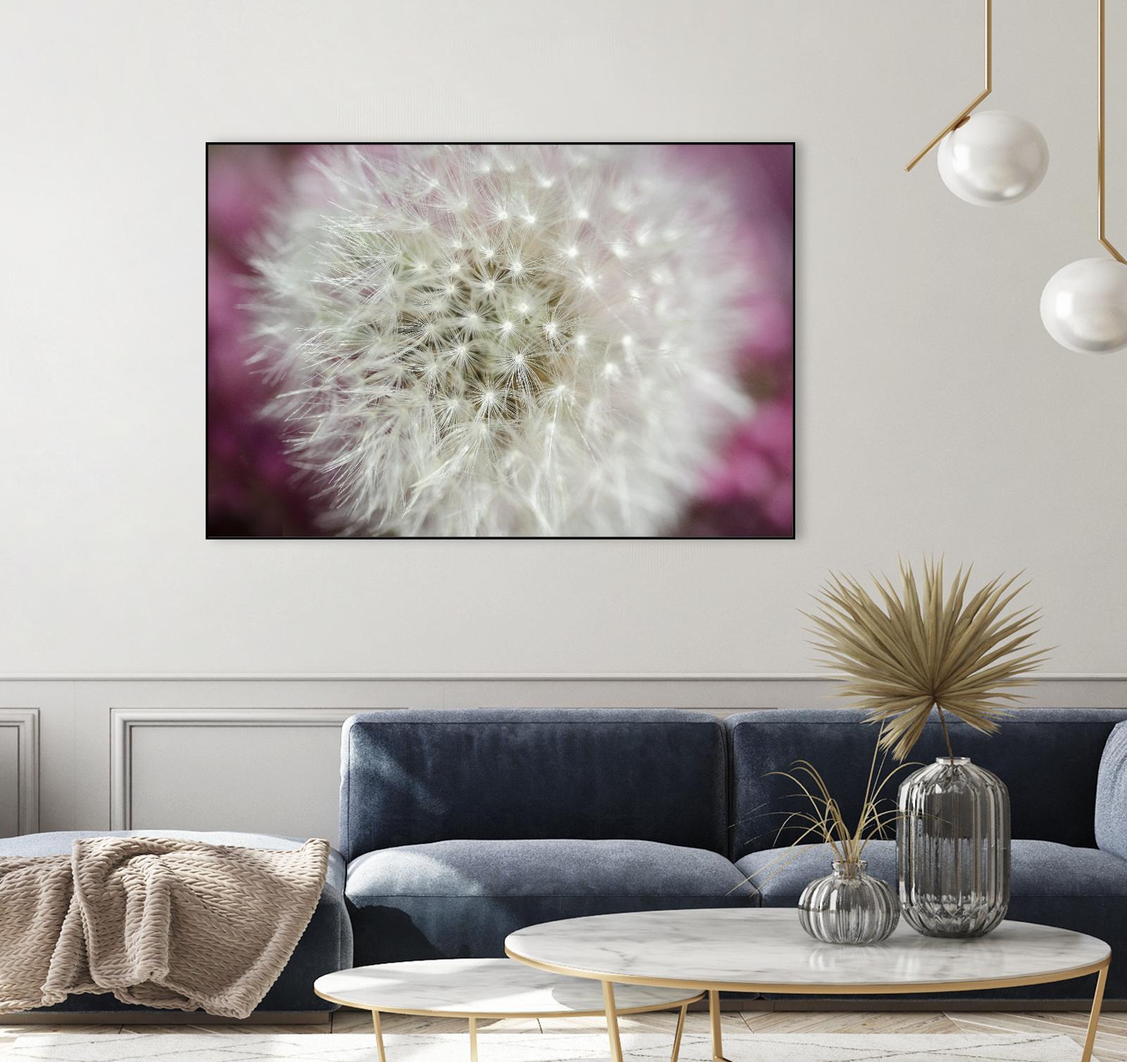 Dandelion on a rose by Nick Jackson on GIANT ART - pink photo art