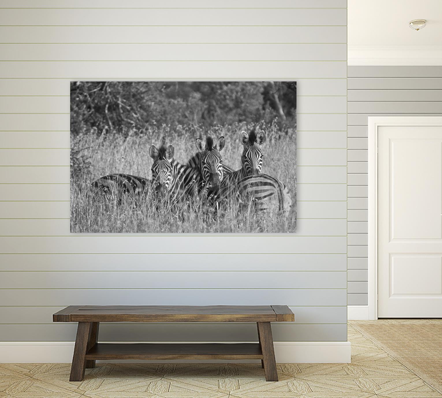 Safety in numbers by Nick Jackson on GIANT ART - white animals