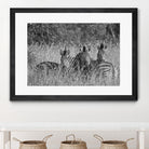 Safety in numbers by Nick Jackson on GIANT ART - white animals