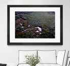 Landscape by Peter Morneau on GIANT ART - green photo art