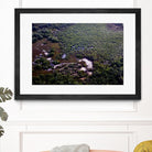 Landscape by Peter Morneau on GIANT ART - green photo art