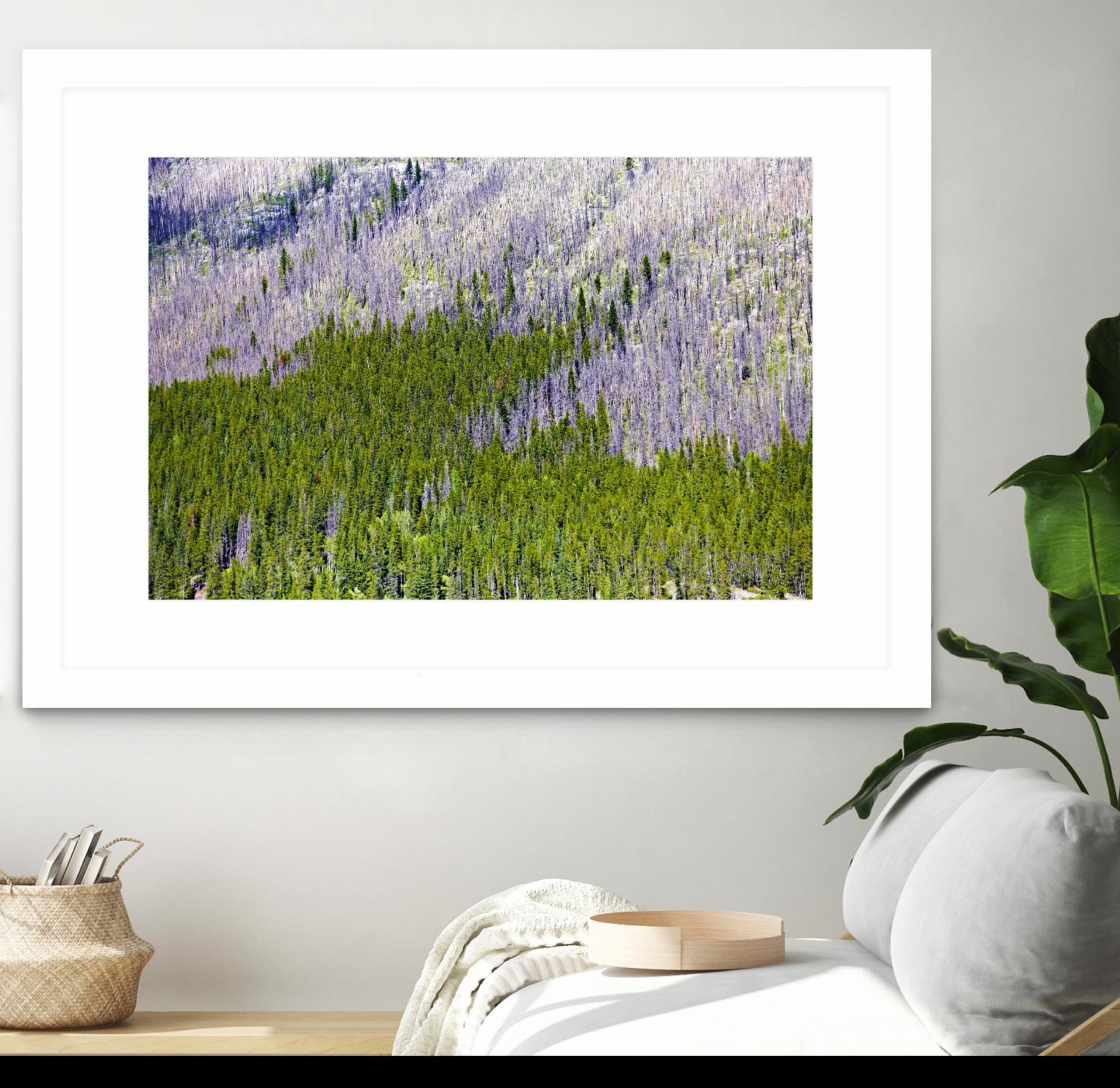Landscape IV by Peter Morneau on GIANT ART - purple photo art