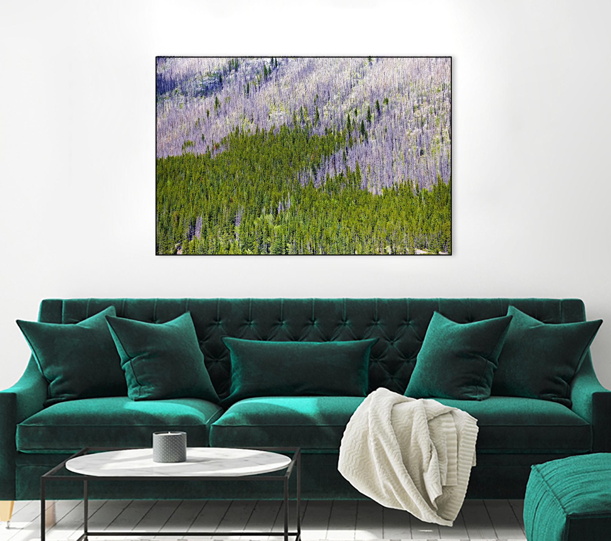 Landscape IV by Peter Morneau on GIANT ART - purple photo art