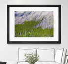 Landscape IV by Peter Morneau on GIANT ART - purple photo art