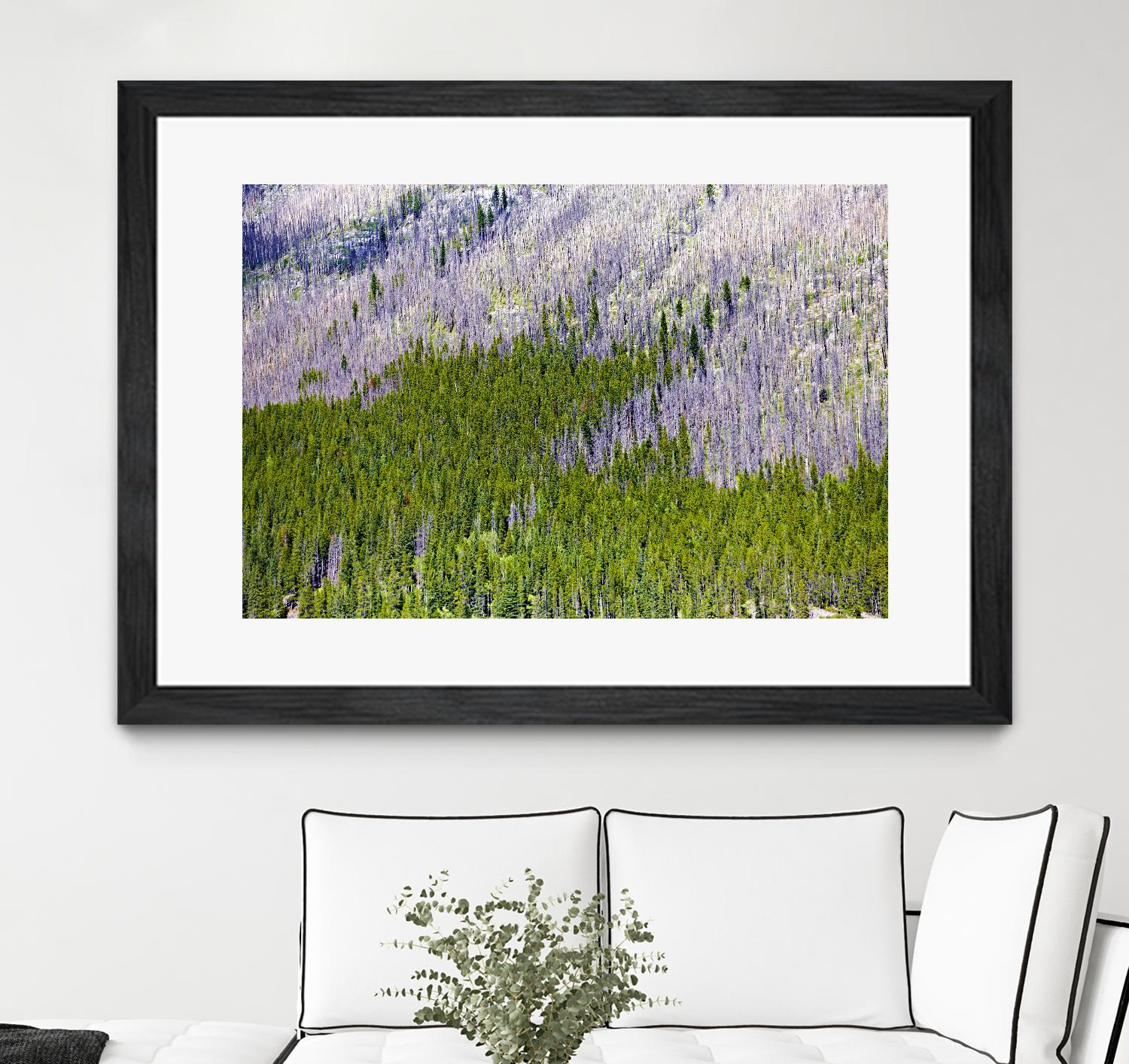 Landscape IV by Peter Morneau on GIANT ART - purple photo art