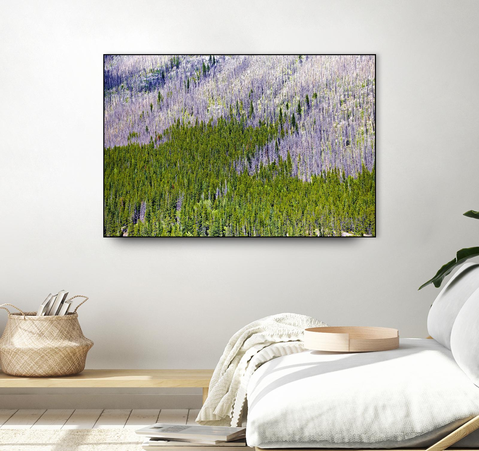 Landscape IV by Peter Morneau on GIANT ART - purple photo art