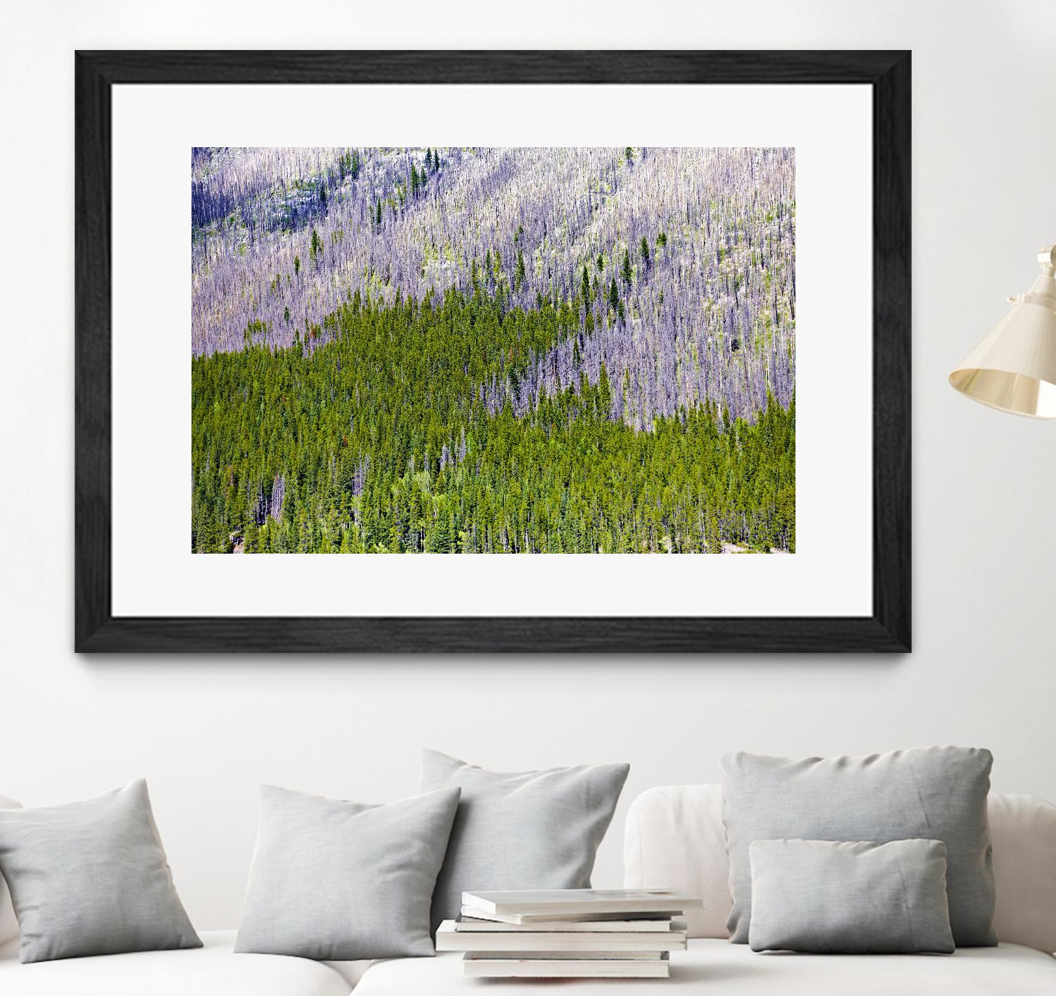 Landscape IV by Peter Morneau on GIANT ART - purple photo art
