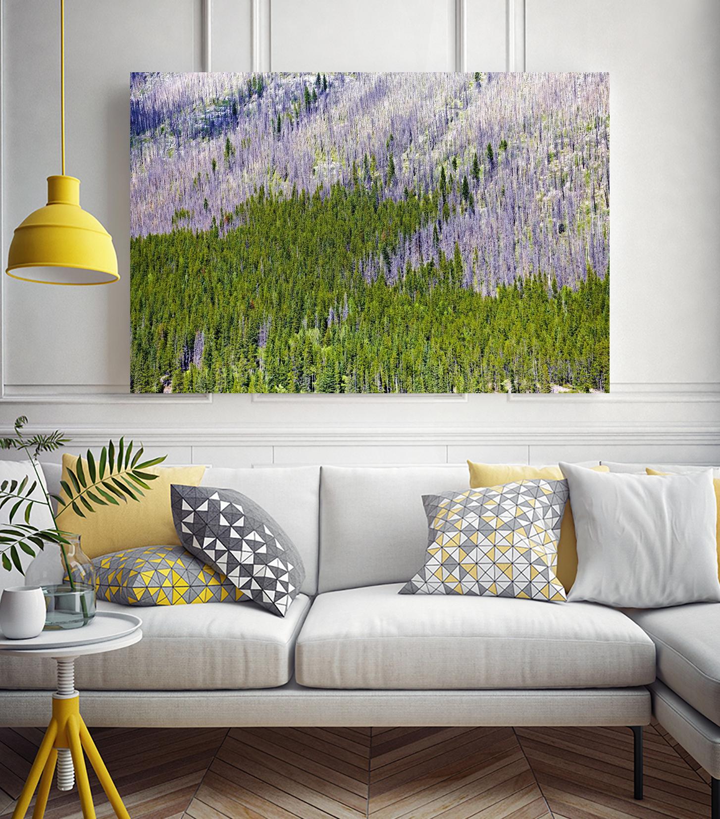 Landscape IV by Peter Morneau on GIANT ART - purple photo art