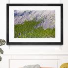 Landscape IV by Peter Morneau on GIANT ART - purple photo art