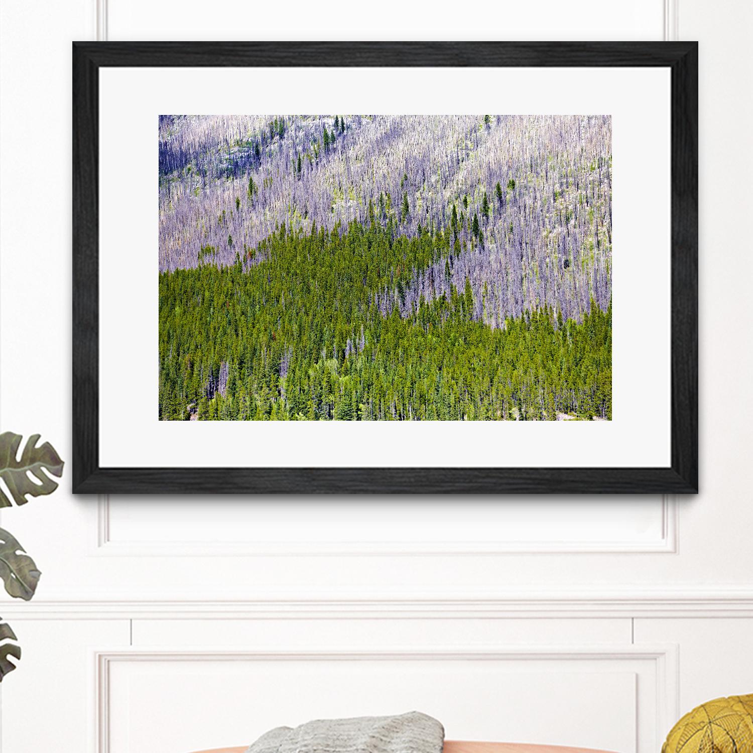 Landscape IV by Peter Morneau on GIANT ART - purple photo art
