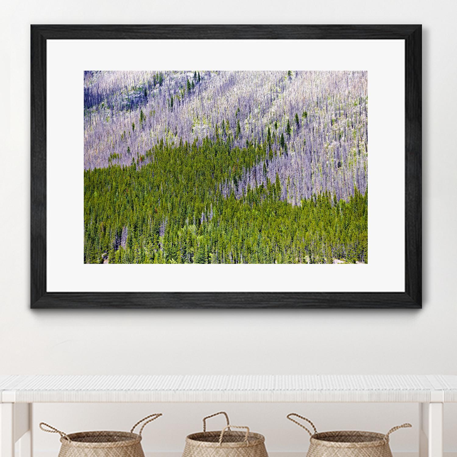 Landscape IV by Peter Morneau on GIANT ART - purple photo art