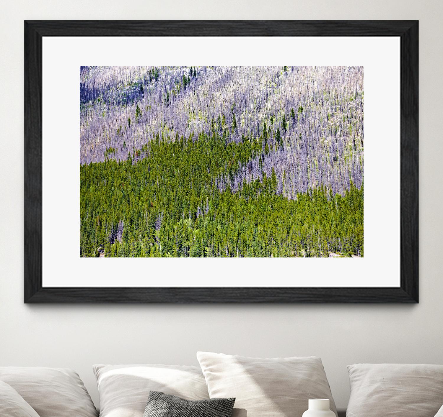 Landscape IV by Peter Morneau on GIANT ART - purple photo art