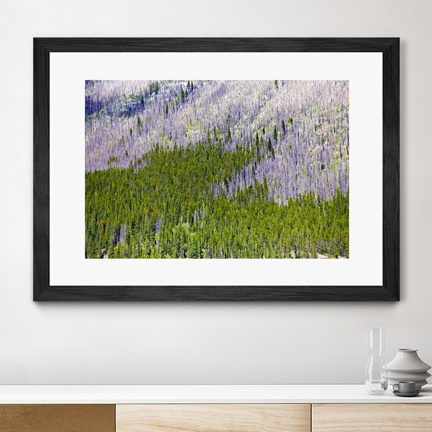 Landscape IV by Peter Morneau on GIANT ART - purple photo art