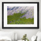 Landscape IV by Peter Morneau on GIANT ART - purple photo art