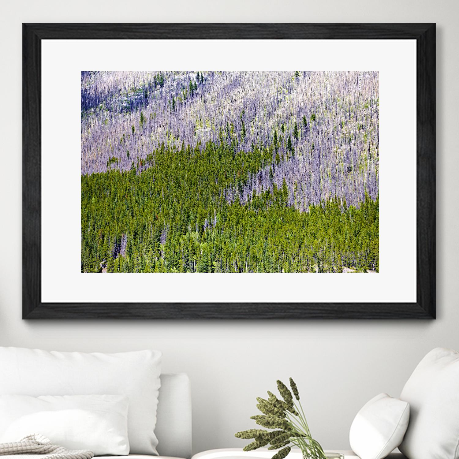 Landscape IV by Peter Morneau on GIANT ART - purple photo art