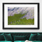 Landscape IV by Peter Morneau on GIANT ART - purple photo art