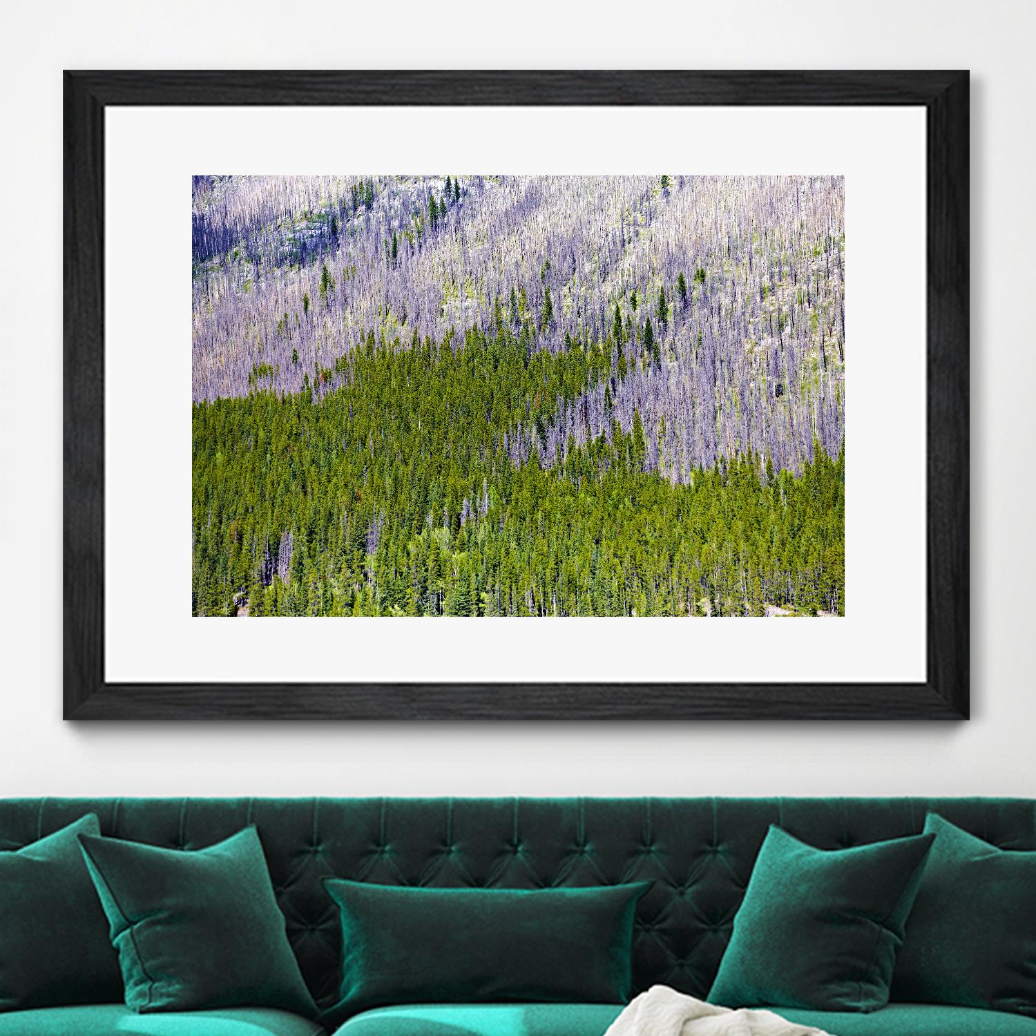 Landscape IV by Peter Morneau on GIANT ART - purple photo art