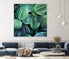 Leaf VIII by Peter Morneau on GIANT ART - white botany