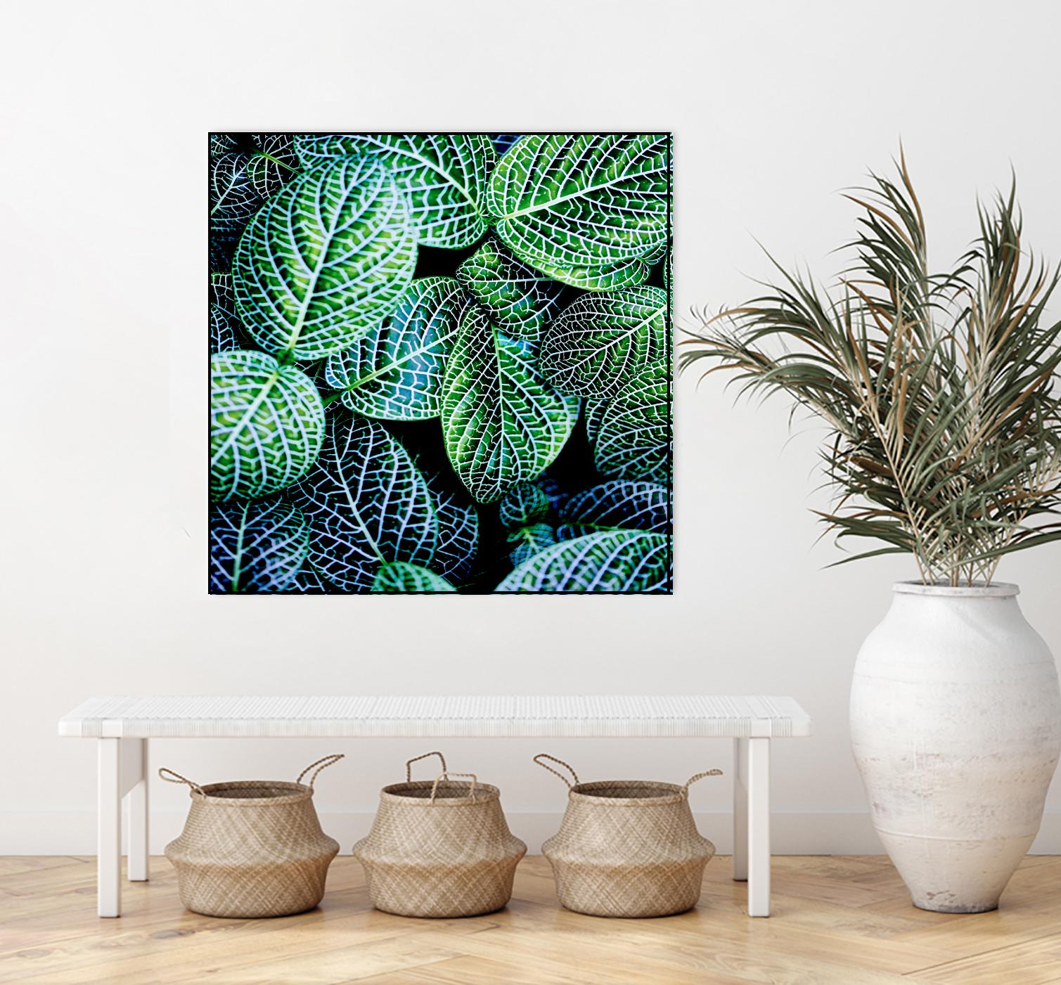 Leaf VIII by Peter Morneau on GIANT ART - white botany