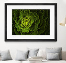 Cabbage I by Peter Morneau on GIANT ART - green photo art