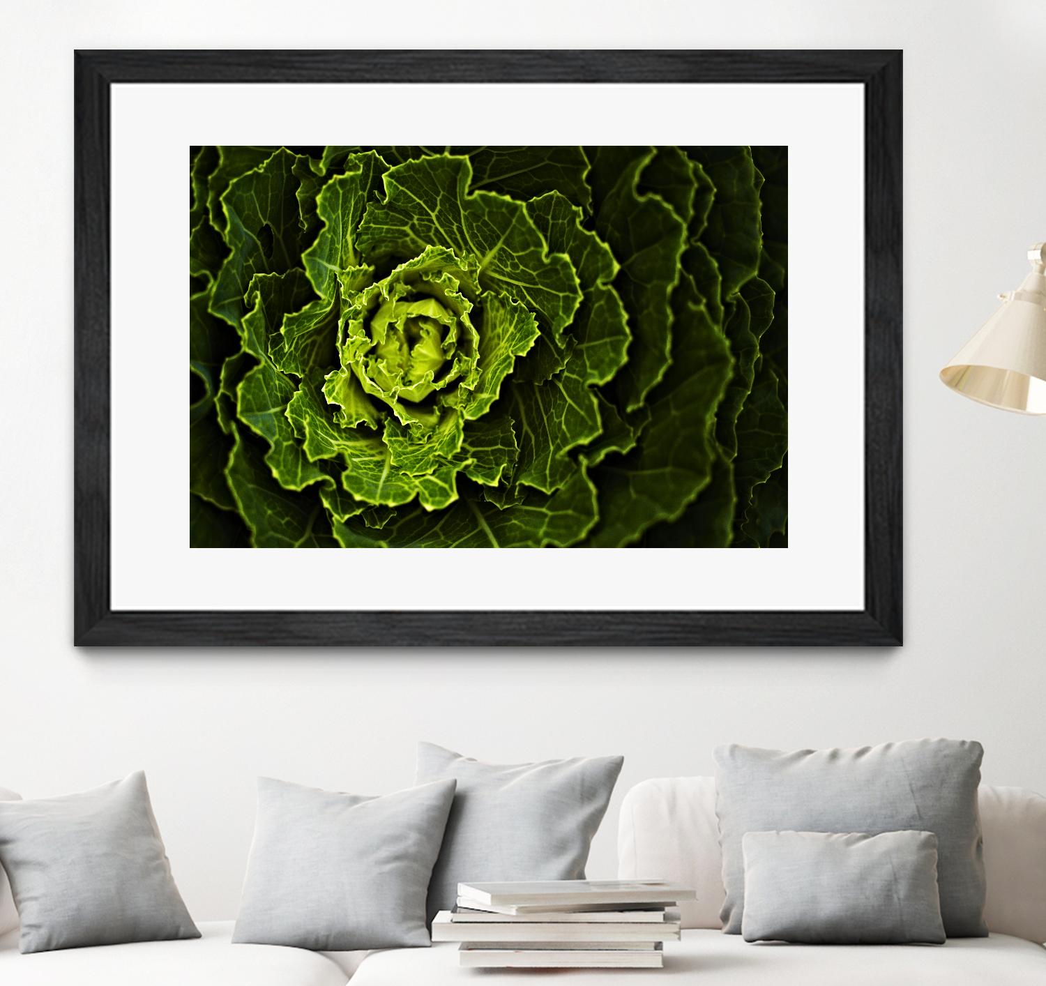 Cabbage I by Peter Morneau on GIANT ART - green photo art