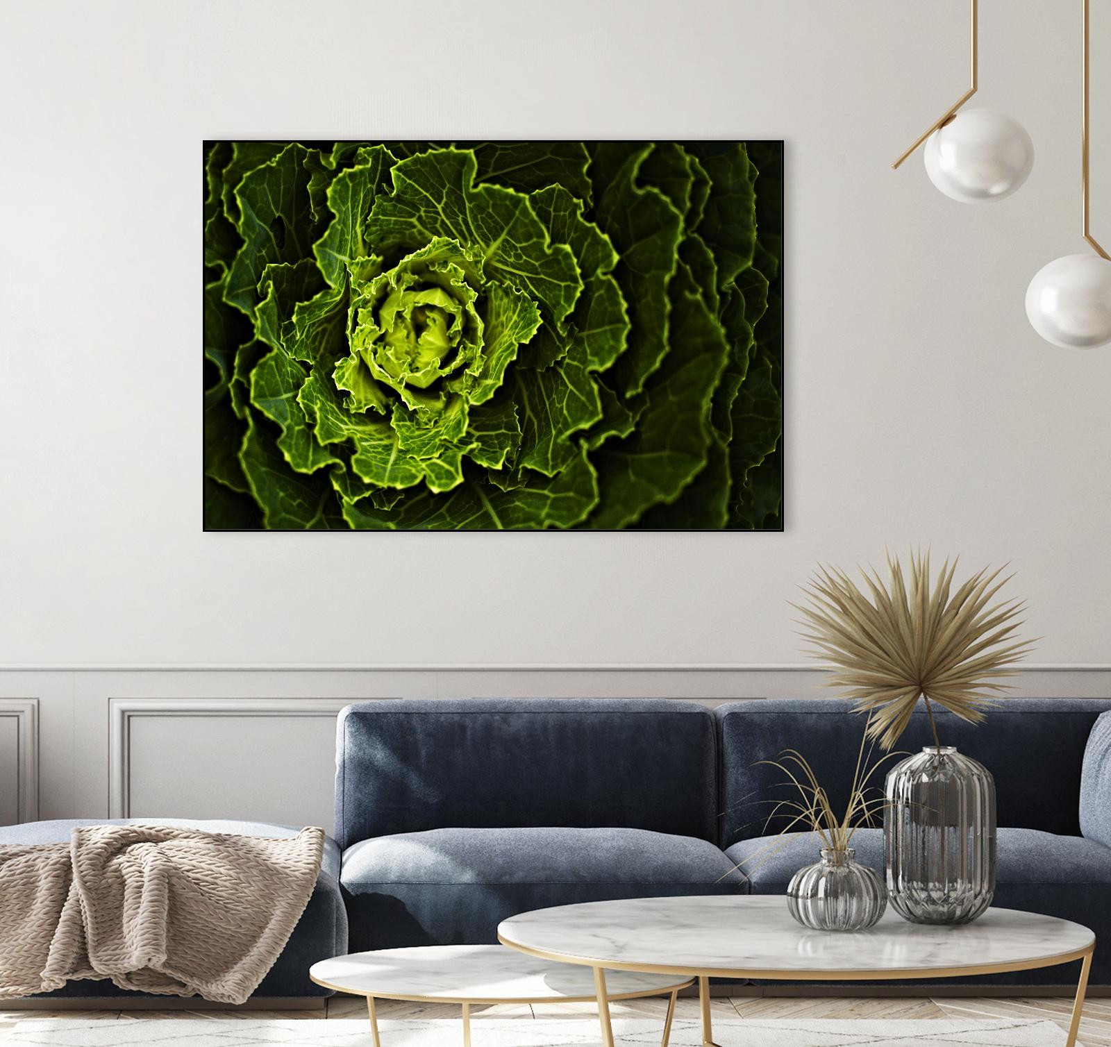 Cabbage I by Peter Morneau on GIANT ART - green photo art